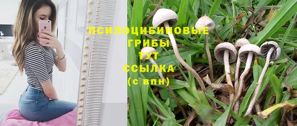 apvp Балахна