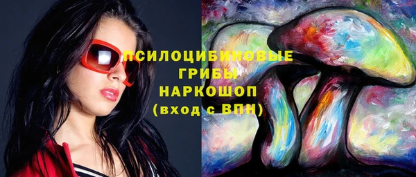 PSILOCYBIN Балабаново