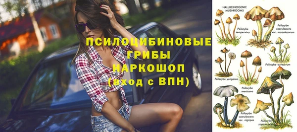 apvp Балахна