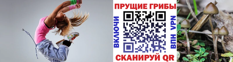 ссылка на мегу   Волчанск  Псилоцибиновые грибы мицелий 