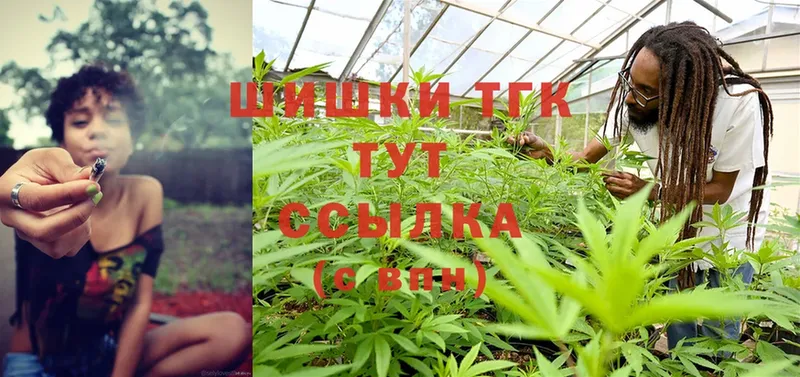 как найти закладки  Волчанск  Каннабис SATIVA & INDICA 